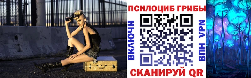 Галлюциногенные грибы Cubensis  OMG ссылки  Кропоткин 